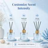 Reed Diffuser – Aqua Mist Home Fragrance Set